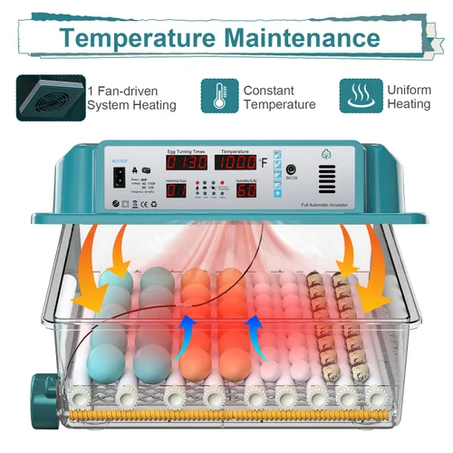 Miniatura 3 de 64 incubadoras de huevos para incubar huevos, incubadora con giro automático de huevos y humedad, incubadora de pollo con 5 modos de incubación