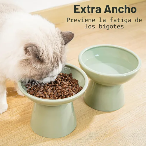 Miniatura 5 de CEEFU 2 cuencos elevados de cerámica para gatos extra anchos para alimentos y agua, plato de comida poco profunda, sin plomo ni cadmio, altura Verde
