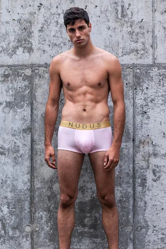 Miniatura 4 de NUDUS Ropa interior de bambú de 2 bolsas para hombre, paquete de 4 calzoncillos tipo caja de regalo, calzoncillos tipo bóxer