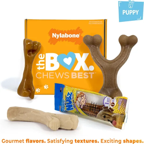 Miniatura 3 de Nylabone Caja de Regalo para Cachorros, Incluye 3 Fuertes Juguetes para Masticación de Cachorros y 1 Hueso de Golosina Natural para Cachorros