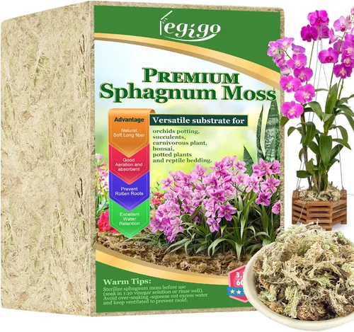 Miniatura 11 de Legigo 100 g de musgo natural esfagno para plantas, mezcla para macetas de orquídea de fibra larga 4QT, musgo esfagno seco para plantas