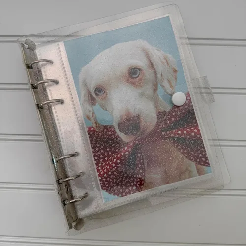 Miniatura 11 de Álbum de fotos de cabina de fotos - Cuaderno con purpurina de 6 anillas, carpeta brillante con 20 fundas para fotos de 2x6 - Se adapta a 80 tiras