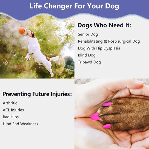Miniatura 5 de Agarradores de Uñas para Perros - Antideslizantes para Perros, Agarradores de Dedos para Perros Mayores, Detienen el Deslizamiento en Pisos Duros