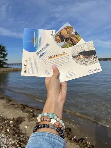 Miniatura 3 de Fahlo Pulsera de seguimiento de tortuga marina, elástica, soporta la conservación de tortugas marinas, talla única para hombres y mujeres, Piedra