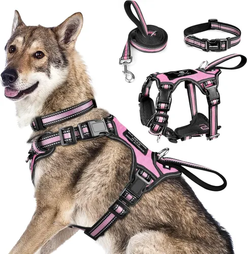 WINSEE Juego de arnés para mascotas, collar y correa, arnés reflectante todo en uno para perro, sin tirones, con hebillas ajustables para cachorros,