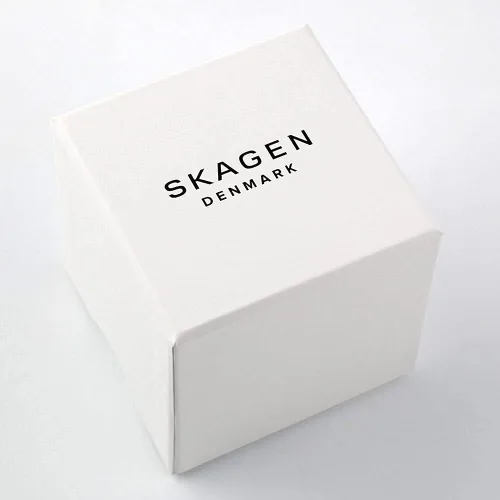 Miniatura 8 de Skagen SKW6007 - Reloj para hombre con esfera gris