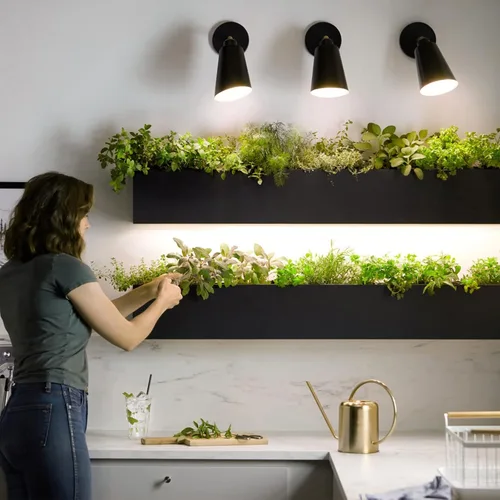 Miniatura 5 de Briignite Paquete de 2 Bombillas LED para Cultivo, Bombillas de Luz de Crecimiento BR30, Luz de Cultivo de Espectro Completo 12W, Bombillas de Luz