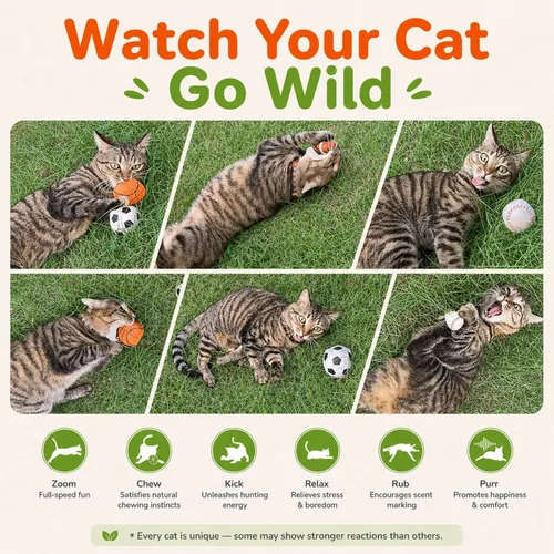 Miniatura 3 de Agape Juguetes para gatos 100% rellenos de hierba gatera y vid plateada, bolas interactivas para masticar y patear para gatos