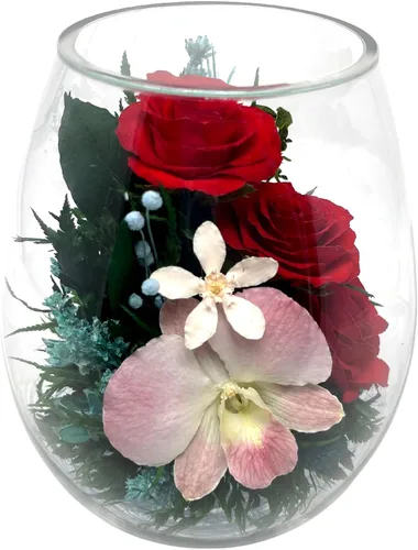 Miniatura 4 de Fiora Flower Rosas preservadas y arreglo floral en jarrón de vidrio sellado Dura hasta 5 años Regalo elegante para bodas, cumpleaños y Rojo