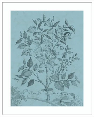 Miniatura 8 de Amanti Art Vision Studio - Póster enmarcado de 24 x 20 pulgadas, diseño botánico en V verde azulado por Vision Studio, arte de pared de naturaleza
