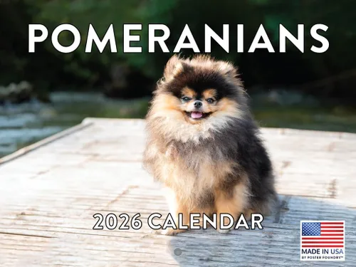 Miniatura 95 de Calendario de pared mensual 2025 Great Dane de 12 meses, fabricado en Estados Unidos