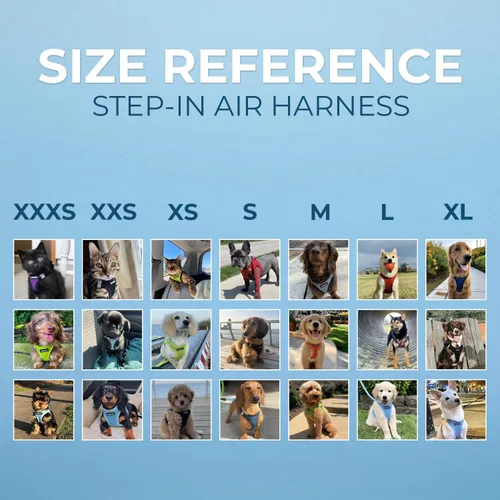 Miniatura 112 de Best Pet Supplies Voyager Step-in Air Arnés – Malla para todo clima, reflectante, arnés antitirones para perros y gatos, seguro con cierre de gancho