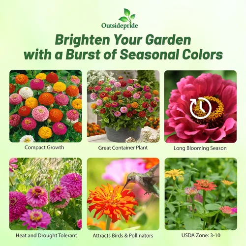 Miniatura 2 de Outsidepride - Zinnia Elegans, planta anual, Lilliput Flower Seed Mix, mezcla de semillas de flores para plantar, 1 libra