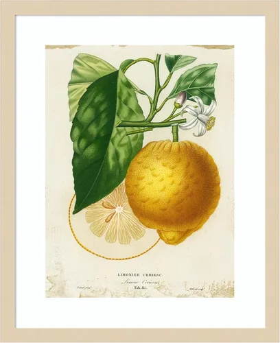 Amanti Art Framed Wall Art Print 21x17 French Lemon I by Studio W, Cuisine Wall Art, Vintage Decor, Small Poster Painting Artwork for Living Room,