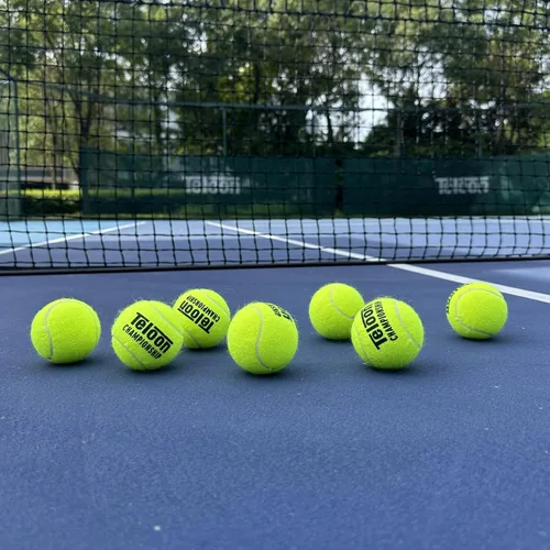 Miniatura 3 de Teloon Pelotas de Tenis para Campeonato - Extra Resistente - Pelotas de Tenis Presurizadas de Fieltro de Resistencia Regular