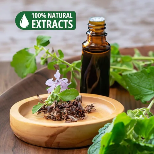 Miniatura 7 de Bless-Patchouli 100% varitas de incienso naturales hechas a mano, sumergidas a mano, libres de químicos orgánicos y carbón, para purificación