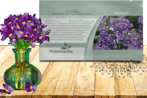 Outsidepride Blue Gem Nemesia - 5000 piezas anuales, flores azules vibrantes, fáciles de cultivar, semillas de flores para cestas colgantes y bordes