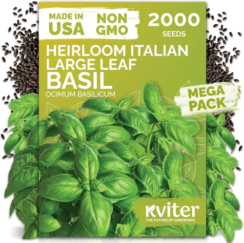 Miniatura 12 de KVITER 1000 semillas de quinua de cordero (Chenopodium Album) - Hierbas comestibles autóctonas, ideales para jardines de hierbas orgánicas