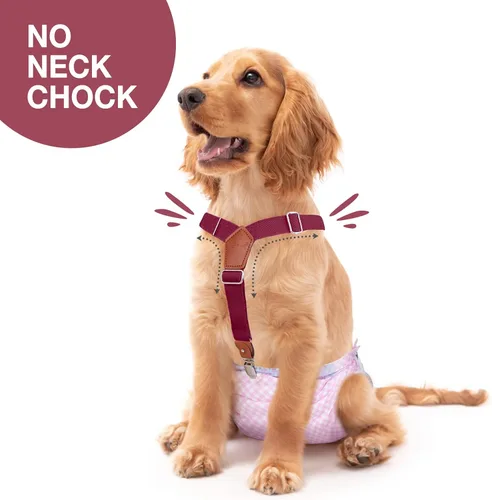 Miniatura 2 de Pet Soft Tirantes para perro, 2 piezas, tirantes para pañales para perros, falda para perros, vestido para perrito (café y borgoña, XS/S)