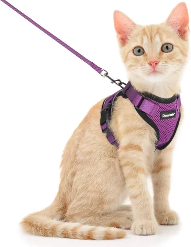 Miniatura 42 de Dooradar Juego de arnés y correa para gato, chaleco ajustable seguro a prueba de escapes, para caminar, chaqueta de malla suave y transpirable