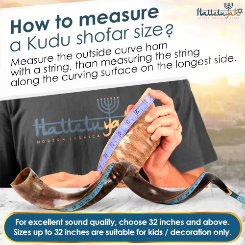 Miniatura 3 de Shofar de cuerno Kudu de 35"-39" de Israel con soporte decorado por HalelluYAH