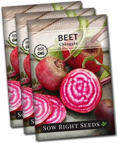 Sow Right Seeds - Semillas de remolacha Chioggia para plantar - Paquete de reliquia sin OMG con instrucciones para plantar y cultivar un huerto