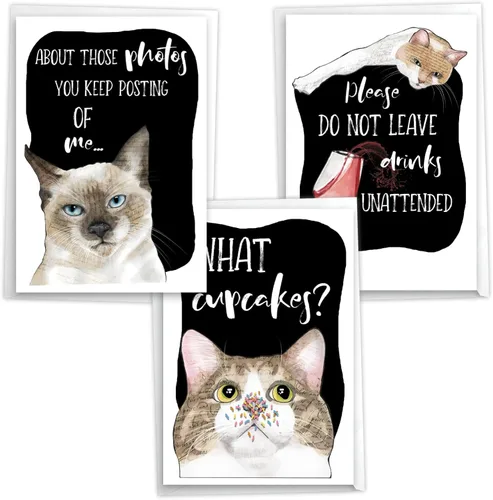 Miniatura 14 de NobleWorks Paquete de 3 divertidas tarjetas de felicitación de cumpleaños con sobres (1 diseño, 3 cada uno) comedero vacío para pájaros C2561BDG-C3x1