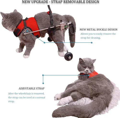 Miniatura 2 de Silla de ruedas para gatos, silla de ruedas para mascotas, diseño de arnés extraíble, silla de ruedas ligera para patas traseras de perros, gatos