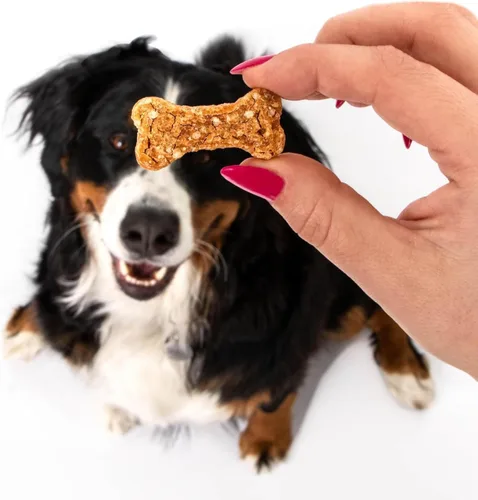Miniatura 8 de Polkadog Chicken Littles - Golosinas para perros con forma de hueso, pollo, crujientes, totalmente naturales, ingredientes limitados, bocadillos