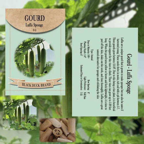 Miniatura 2 de Luffa Seeds - 150 semillas de lufa tradicionales sin OMG (paquete a granel), de origen estadounidense, ideales para cultivar esponjas o verduras