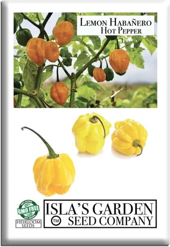 Semillas de pimiento picante Habañero de limón para plantar, más de 25 semillas de reliquia por paquete, semillas de jardín de Isla (semillas de