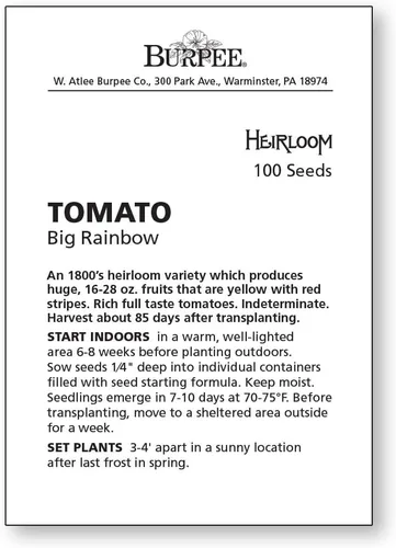 Miniatura 6 de Burpee 'Big Rainbow' Heirloom, Tomate Grande Beefsteak para Rebanar, 100 Semillas Sin OGM