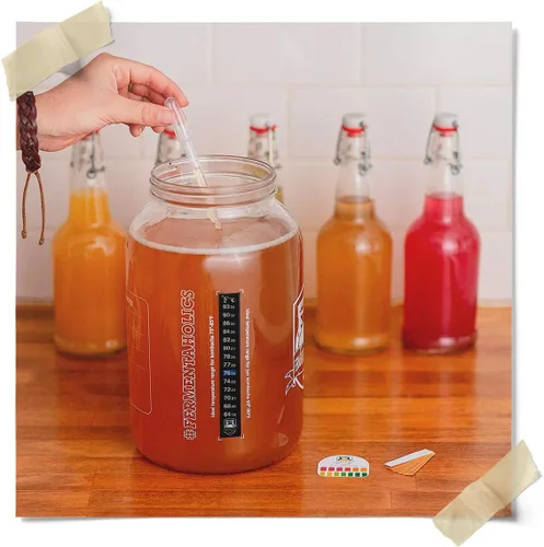 Miniatura 7 de Kombucha Essentials Kit – Incluye Kombucha Orgánica USDA SCOBY + tarro de fermentación de vidrio de 1 galón con cubierta transpirable + tiras de pH