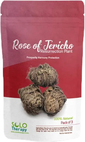Rose of Jericho Flower The Resurrection Plant | Paquete de 3 rosas secas | Rosa sagrada de prosperidad, armonía y protección | 3 a 4 pulgadas cada