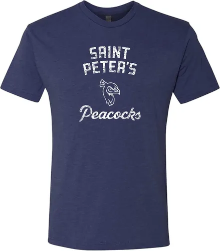 Miniatura 37 de UGP Campus Apparel AS11 - Camiseta Triblend Retro Script