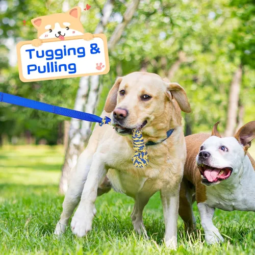 Miniatura 6 de XiaZ Juguete de tira y afloja para perros, juguete interactivo para perros, cuerda elástica para colgar con 2 juguetes de cuerda para masticar, Azul