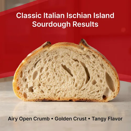 Miniatura 5 de Paquete de 2 iniciadores de masa madre de primera calidad – Cultivo de masa agria deshidratada estilo isla isquiana italiana con instrucciones
