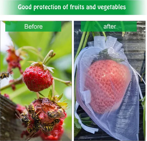Miniatura 3 de 100 bolsas de malla de frutas de organza de 6 x 8 pulgadas, bolsas de protección de frutas con cordón, bolsa de barrera de red para plantas de Blanco