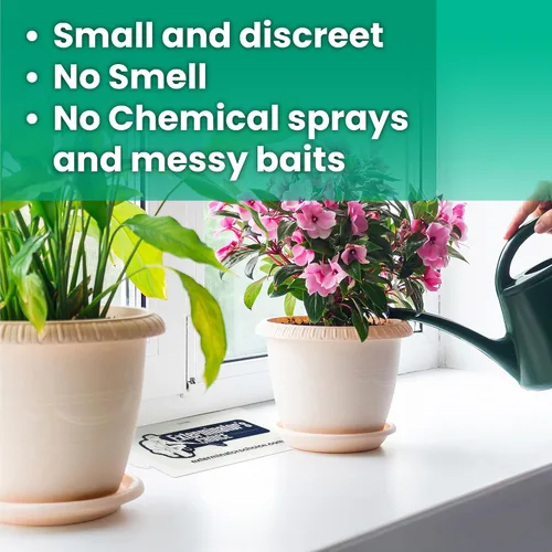 Miniatura 5 de Exterminators Choice Tablas de pegamento adhesivas blancas grandes para insectos, paquete de 8 tablas planas, adhesivo inodoro para atrapar hormigas