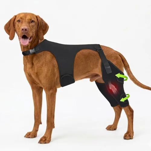 Miniatura 9 de Rodilleras para perro para pierna trasera, soporte ajustable para piernas con 2 estabilizadores, soporte de cadera para reducir el dolor, lesiones