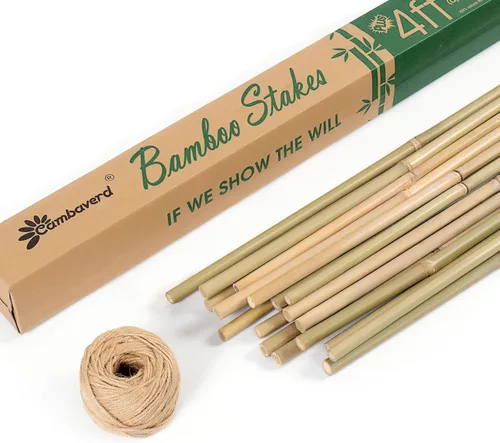 Miniatura 8 de Cambaverd Varillas de bambú para plantas, estacas de bambú de 2 pies para jardinería interior, estacas para plantas en maceta, mini árboles, estacas