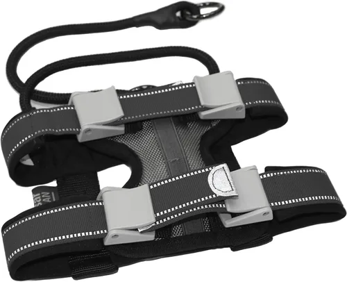 Miniatura 2 de Cesar Millan Pack Leader Collar - Collar de entrenamiento del perro susurrador (pequeño, azul)