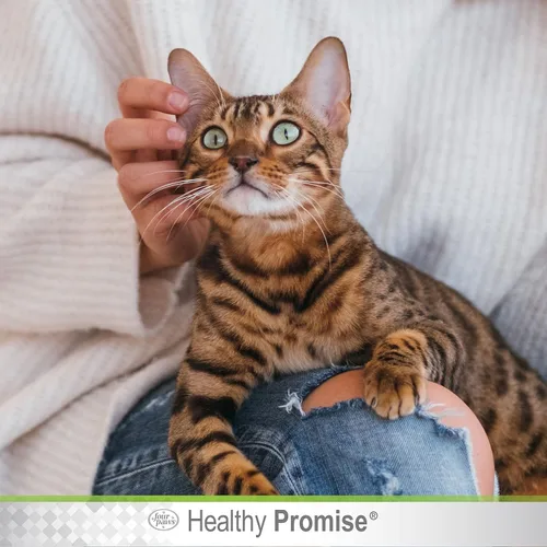 Miniatura 5 de Four Paws Healthy Promise - Solución calmante de aloe para ácaros de oído para gatos, reduce el olor y alivia la picazón, 0.75 onzas líquidas