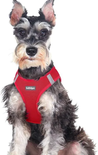 Miniatura 122 de rabbitgoo Arnés para perro pequeño, chaleco de malla suave para cachorros con hebilla de seguridad, arnés reflectante transpirable para mascotas
