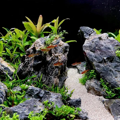 Miniatura 7 de Piedra natural Seiryu de 2 a 6 pulgadas, 4 piezas de rocas de acuario para paisajismo acuático, paisajismo de acuarios, terrarios, decoración