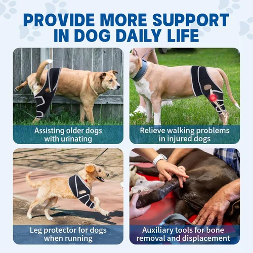 Miniatura 4 de Rodillera para perro de 4 patas, rodillera ajustable para perro con material reflectante, proporciona un fuerte apoyo para perros pequeños, medianos