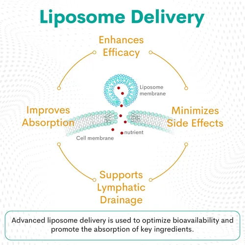 Miniatura 4 de Gotas de drenaje linfático liposomal de 2000 mg - Sistema linfático y apoyo inmunológico - Apoyo al equilibrio de líquidos - Suplementos