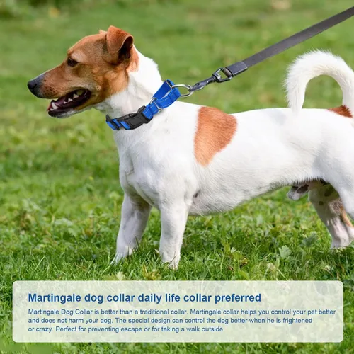 Miniatura 6 de Collares de perro reflectantes de martingala. Collar de perro con hebilla de liberación rápida. Collar de mascota de nylon ajustable, suave, Azul