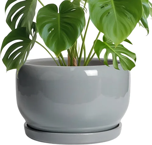 Miniatura 58 de SQOWL Macetas de cerámica – Maceta de 6 pulgadas con orificio de drenaje y bandeja, maceta redonda para plantas de interior, maceta decorativa