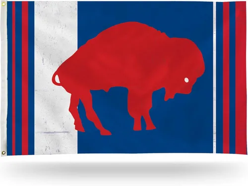 Miniatura 42 de NFL Rico Industries - Bandera estándar de 3 x 5 pies, de una cara, para interior o exterior, decoración del hogar